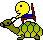 Schildkröte